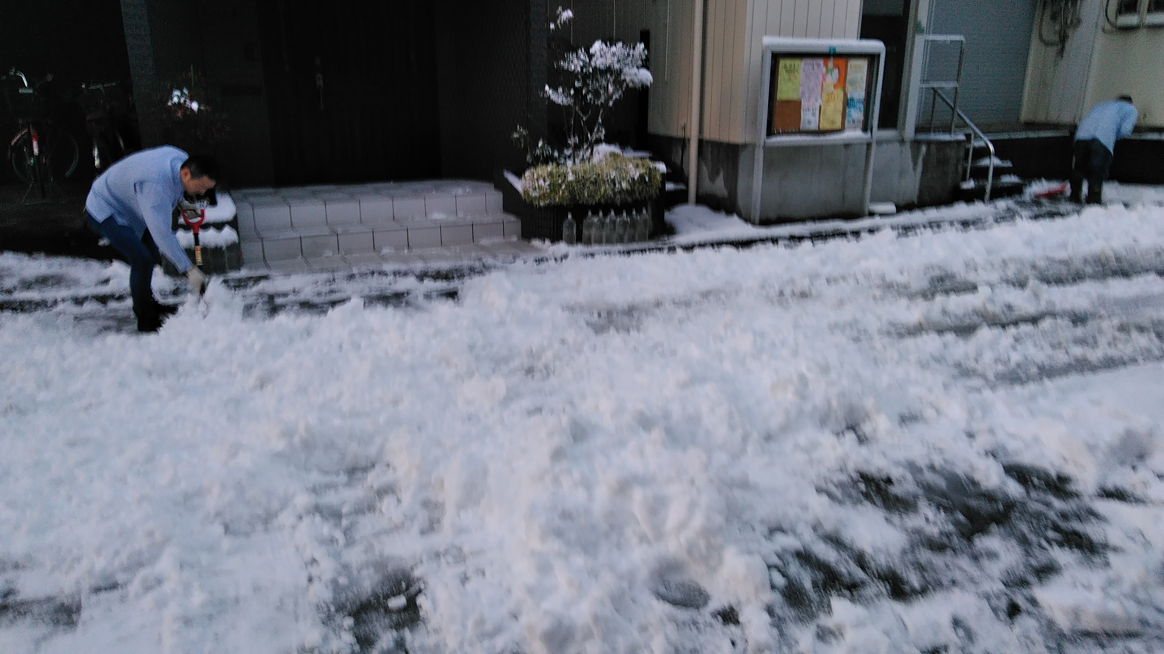 東京も雪・雪・雪！！